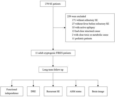 Long-term outcomes of adult cryptogenic febrile infection–related epilepsy syndrome (FIRES)